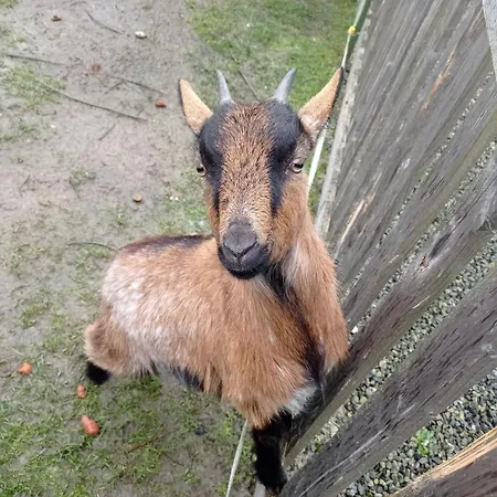 Frühstückspension La Saint-martin Pontorson