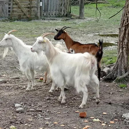 La Saint-martin Frühstückspension