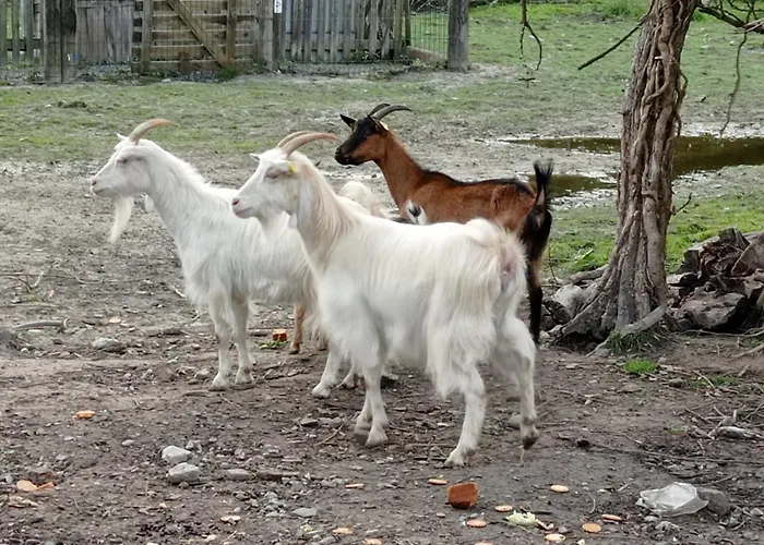 La Saint-martin Bed & Breakfast