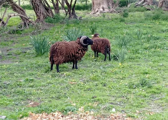 La Saint-martin 3* Pontorson